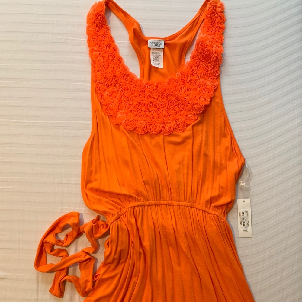 Charming Charlie Dress